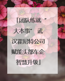 团队练就“大本事” 武汉霍尼特公司赋能头部车企智慧升级