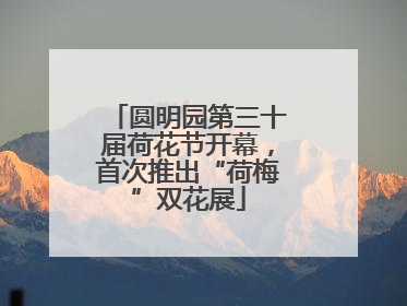 圆明园第三十届荷花节开幕，首次推出“荷梅”双花展