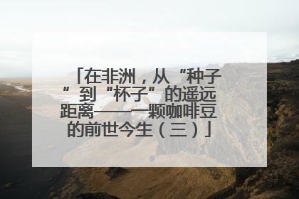 在非洲，从“种子”到“杯子”的遥远距离——一颗咖啡豆的前世今生（三）