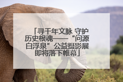 寻千年文脉 守护历史根魂——“问源白浮泉”公益摄影展即将落下帷幕
