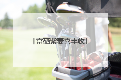 富硒紫麦喜丰收