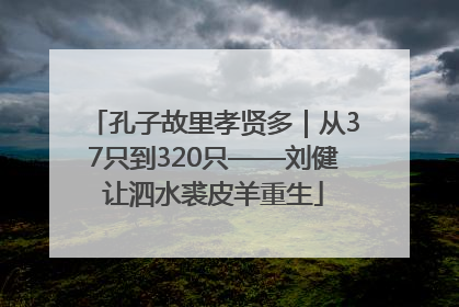 孔子故里孝贤多｜从37只到320只——刘健让泗水裘皮羊重生