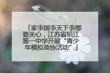 家事国事天下事都要关心，江苏省镇江第一中学开展“青少年模拟政协活动”