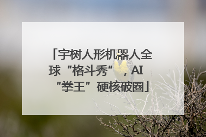 宇树人形机器人全球“格斗秀”，AI“拳王”硬核破圈
