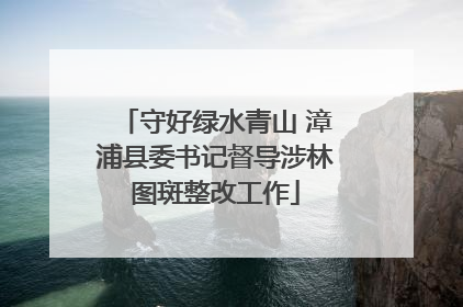 守好绿水青山 漳浦县委书记督导涉林图斑整改工作
