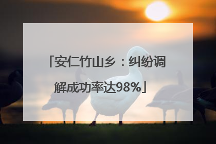 安仁竹山乡：纠纷调解成功率达98%