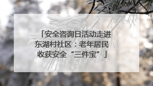 安全咨询日活动走进东湖村社区：老年居民收获安全“三件宝”