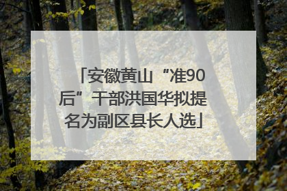 安徽黄山“准90后”干部洪国华拟提名为副区县长人选