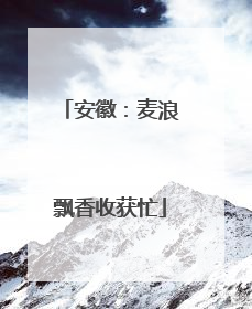 安徽：麦浪飘香收获忙