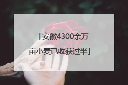 安徽4300余万亩小麦已收获过半