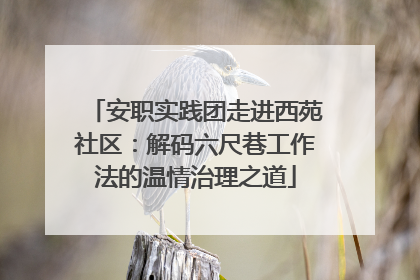 安职实践团走进西苑社区：解码六尺巷工作法的温情治理之道