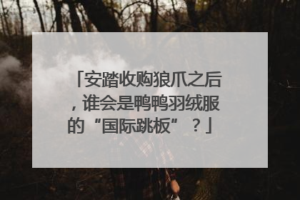 安踏收购狼爪之后，谁会是鸭鸭羽绒服的“国际跳板”？