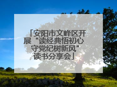 安阳市文峰区开展“读经典悟初心 守党纪树新风”读书分享会