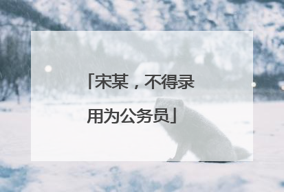 宋某，不得录用为公务员