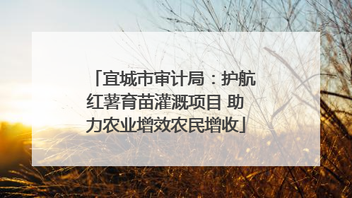 宜城市审计局：护航红薯育苗灌溉项目 助力农业增效农民增收