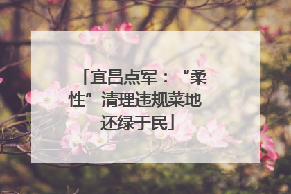 宜昌点军：“柔性”清理违规菜地 还绿于民