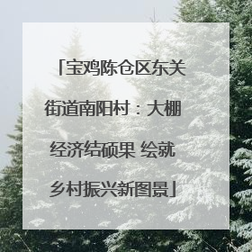 宝鸡陈仓区东关街道南阳村：大棚经济结硕果 绘就乡村振兴新图景