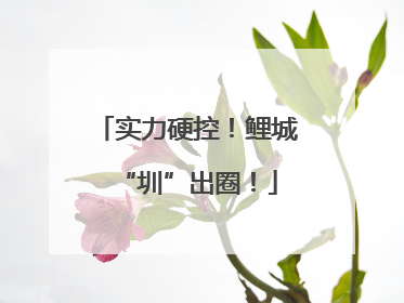 实力硬控！鲤城“圳”出圈！