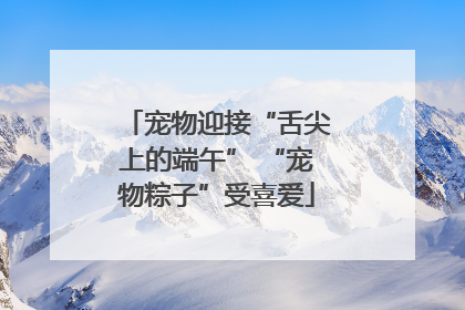 宠物迎接“舌尖上的端午” “宠物粽子”受喜爱