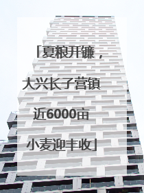 夏粮开镰，大兴长子营镇近6000亩小麦迎丰收