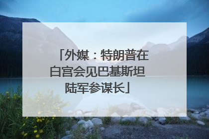 外媒：特朗普在白宫会见巴基斯坦陆军参谋长