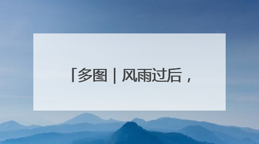 多图｜风雨过后，密云水库“鸟岛”上的幼鸟还好吗？