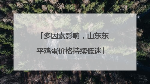 多因素影响，山东东平鸡蛋价格持续低迷