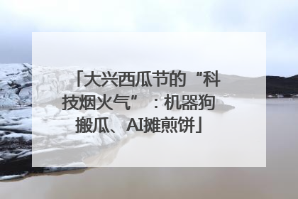大兴西瓜节的“科技烟火气”：机器狗搬瓜、AI摊煎饼