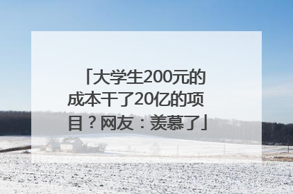 大学生200元的成本干了20亿的项目？网友：羡慕了