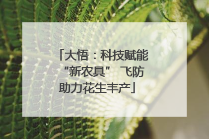 大悟：科技赋能“新农具” 飞防助力花生丰产