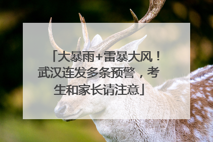 大暴雨+雷暴大风！武汉连发多条预警，考生和家长请注意