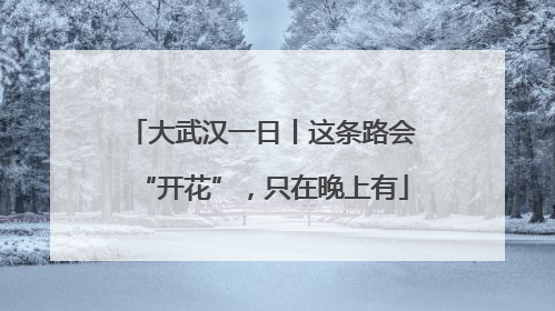 大武汉一日丨这条路会“开花”，只在晚上有