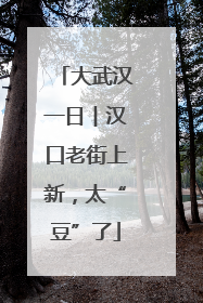 大武汉一日︱汉口老街上新，太“豆”了