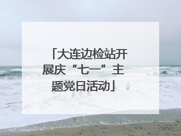 大连边检站开展庆“七一”主题党日活动