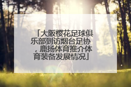 大阪樱花足球俱乐部到访烟台足协，鹿扬体育推介体育装备发展情况