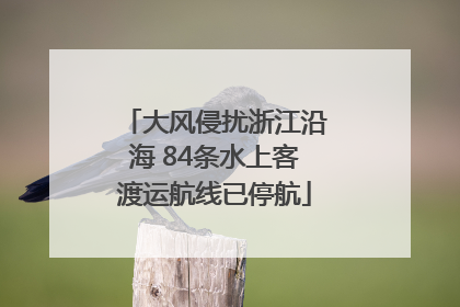 大风侵扰浙江沿海 84条水上客渡运航线已停航