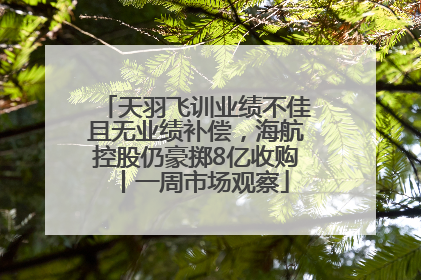 天羽飞训业绩不佳且无业绩补偿，海航控股仍豪掷8亿收购丨一周市场观察