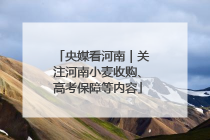 央媒看河南｜关注河南小麦收购、高考保障等内容