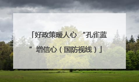 好政策暖人心 “孔雀蓝”增信心（国防视线）