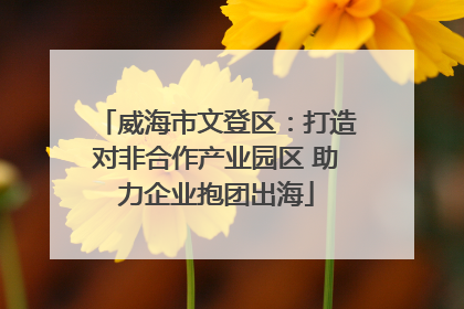 威海市文登区：打造对非合作产业园区 助力企业抱团出海