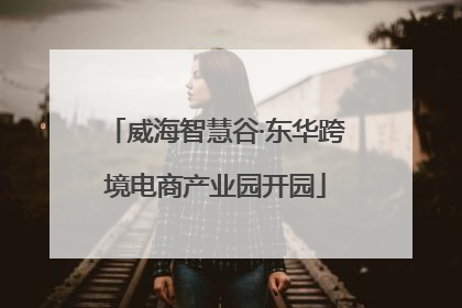 威海智慧谷·东华跨境电商产业园开园