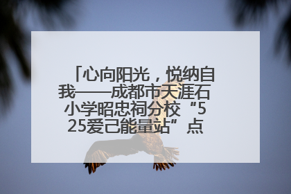 心向阳光，悦纳自我——成都市天涯石小学昭忠祠分校“525爱己能量站”点亮孩子心灵之旅
