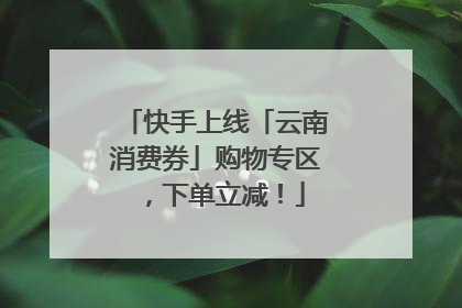 快手上线「云南消费券」购物专区，下单立减！