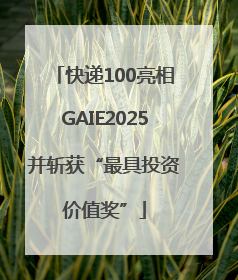 快递100亮相GAIE2025并斩获“最具投资价值奖”