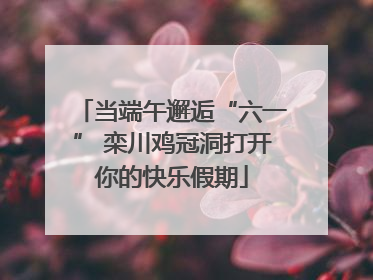 当端午邂逅“六一” 栾川鸡冠洞打开你的快乐假期