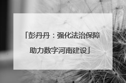 彭丹丹：强化法治保障 助力数字河南建设