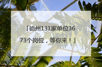 德州131家单位3673个岗位，等你来！
