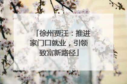 徐州贾汪：推进家门口就业，引领致富新路径