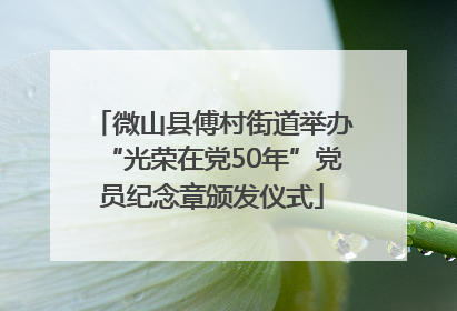 微山县傅村街道举办“光荣在党50年”党员纪念章颁发仪式
