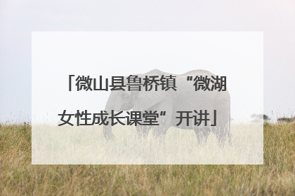 微山县鲁桥镇“微湖女性成长课堂”开讲